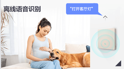 离线语音识别解决方案