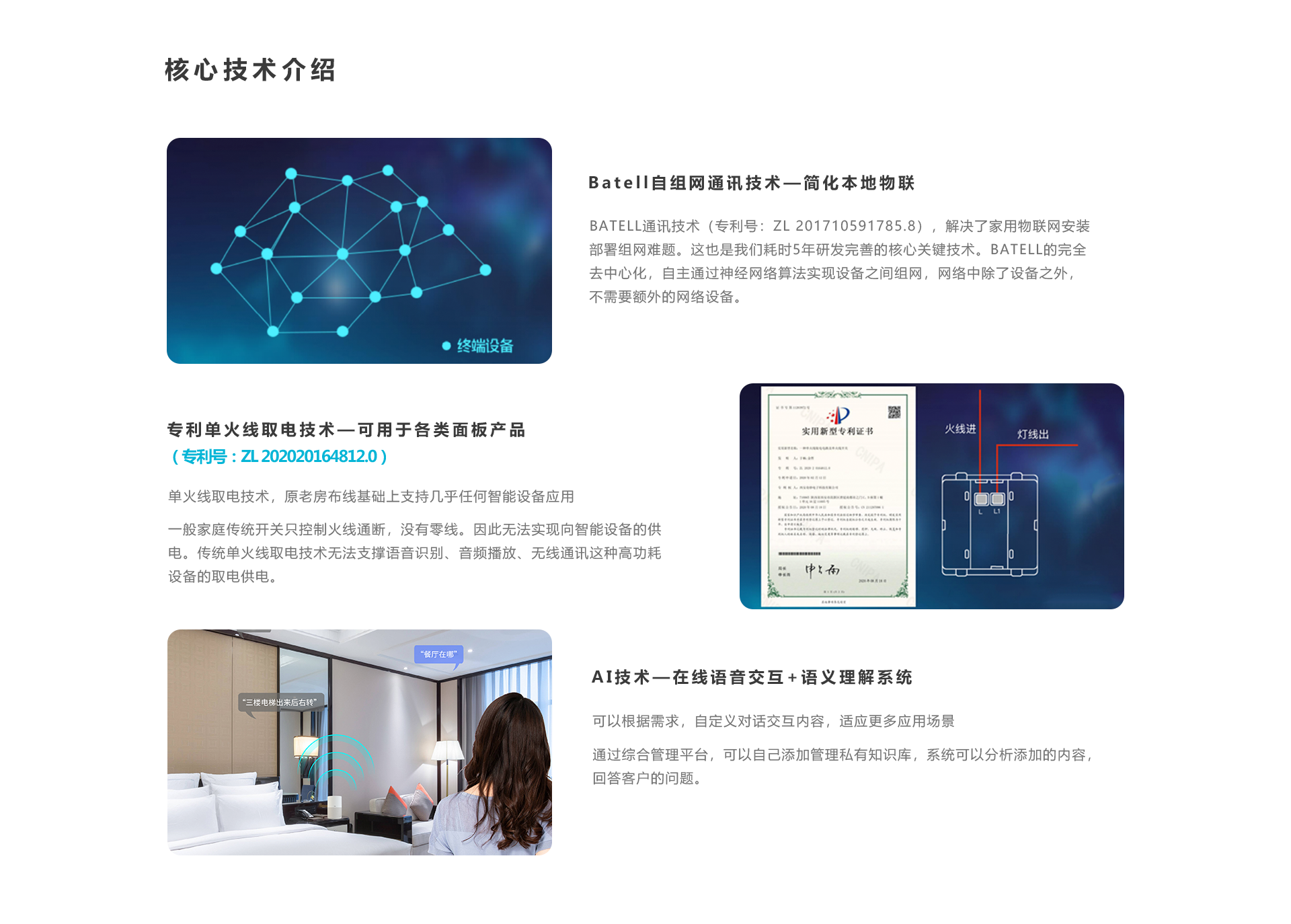 核心技术介绍：专利单火线去点技术，专利自组网通讯技术
